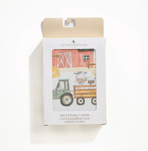 Baby Gift Box - Animal Fun